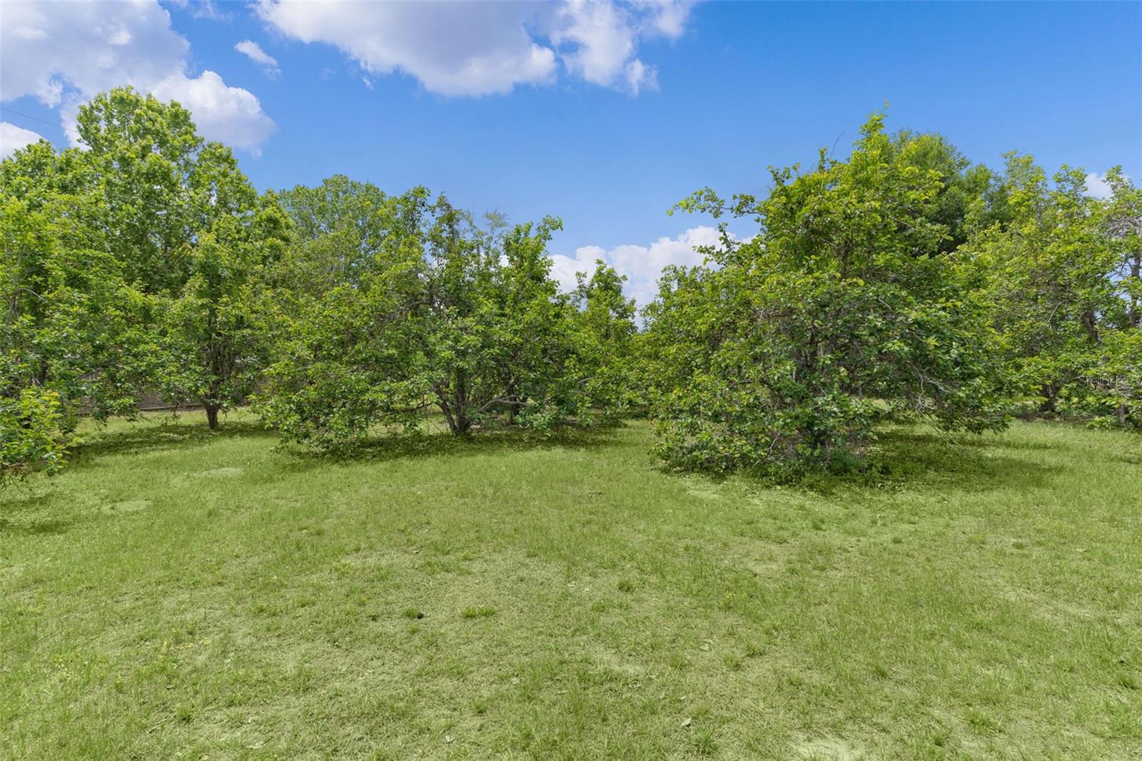 Image 35 of 47 For 5946 Sr 471  