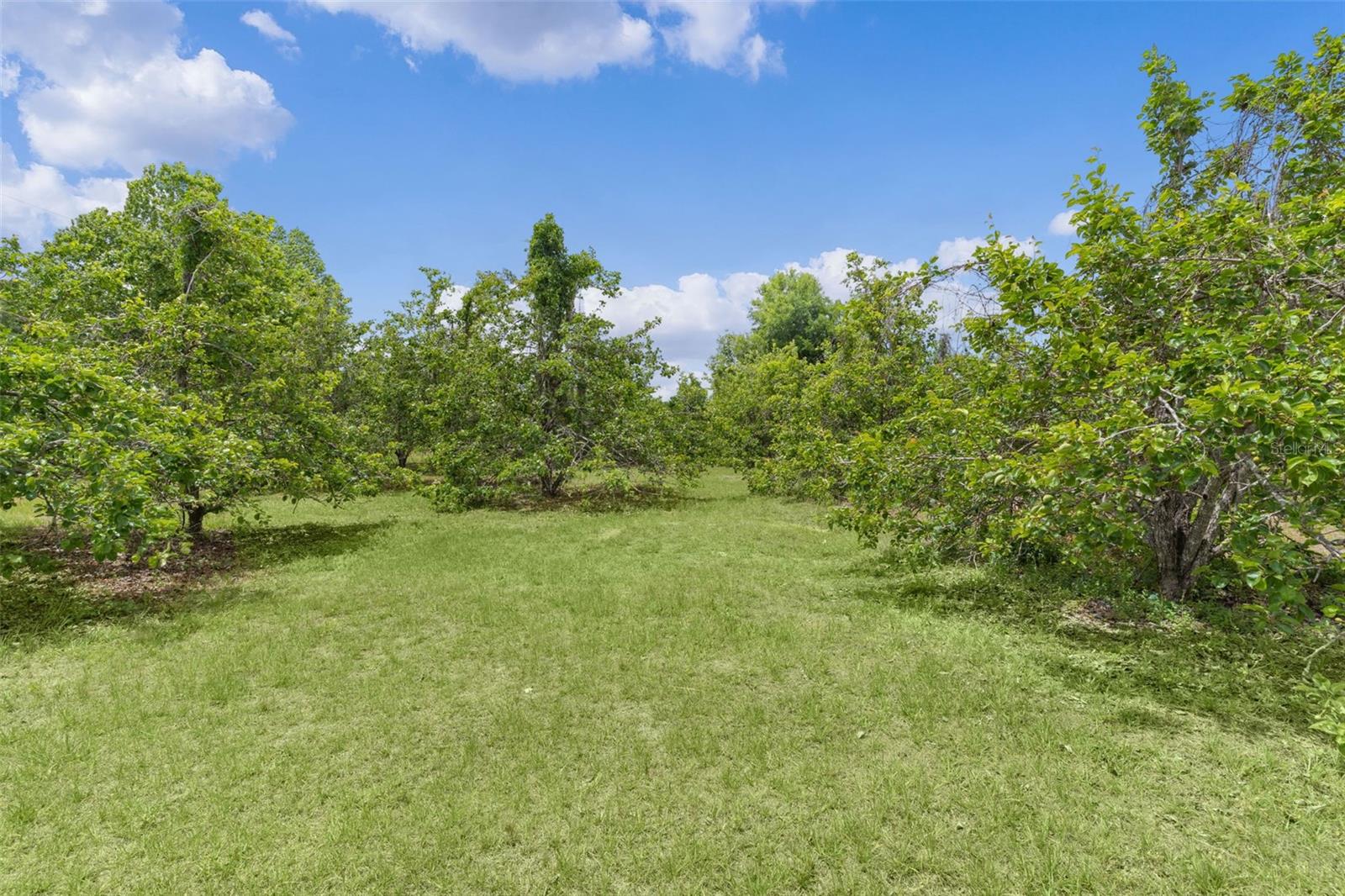 Image 37 of 47 For 5946 Sr 471  