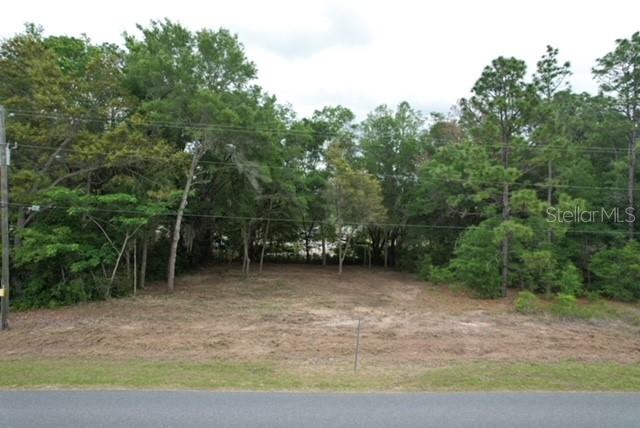 Details for Tbd Beach Boulevard, DUNNELLON, FL 34431