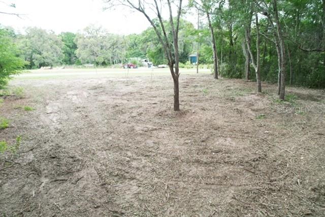 Image 4 of 12 For Tbd Beach Boulevard