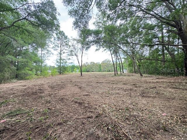 Image 8 of 12 For Tbd Beach Boulevard