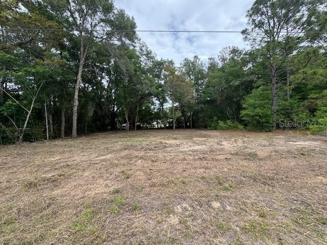 Image 9 of 12 For Tbd Beach Boulevard