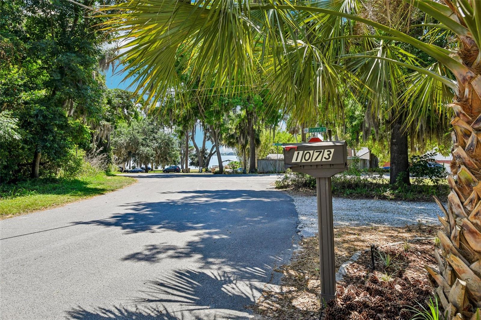 Image 5 of 45 For 1073 Central Street