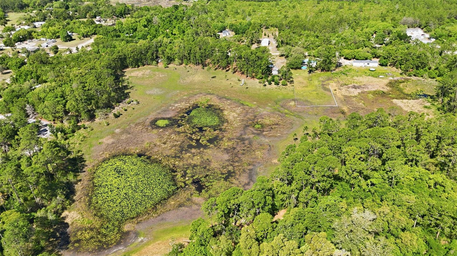 Image 10 of 13 For Tbd Holly Branch Road