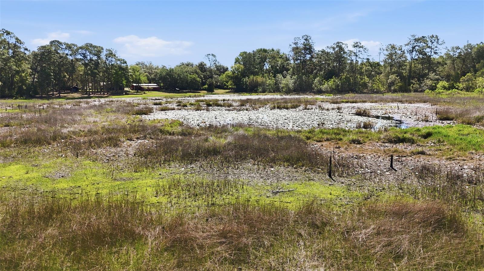 Image 4 of 13 For Tbd Holly Branch Road