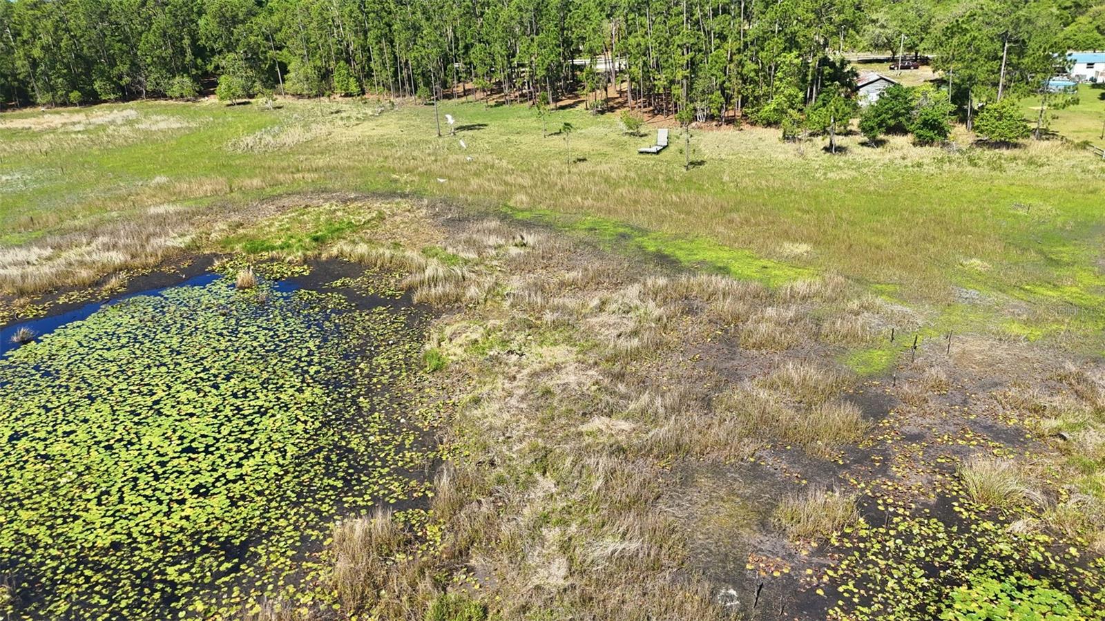 Image 7 of 13 For Tbd Holly Branch Road