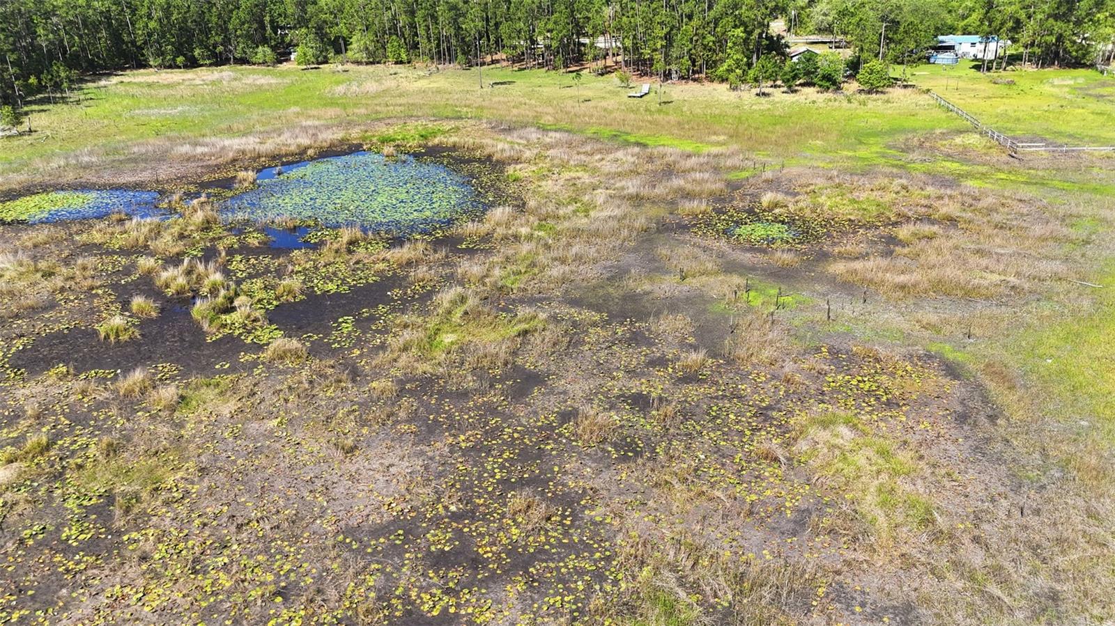 Image 9 of 13 For Tbd Holly Branch Road