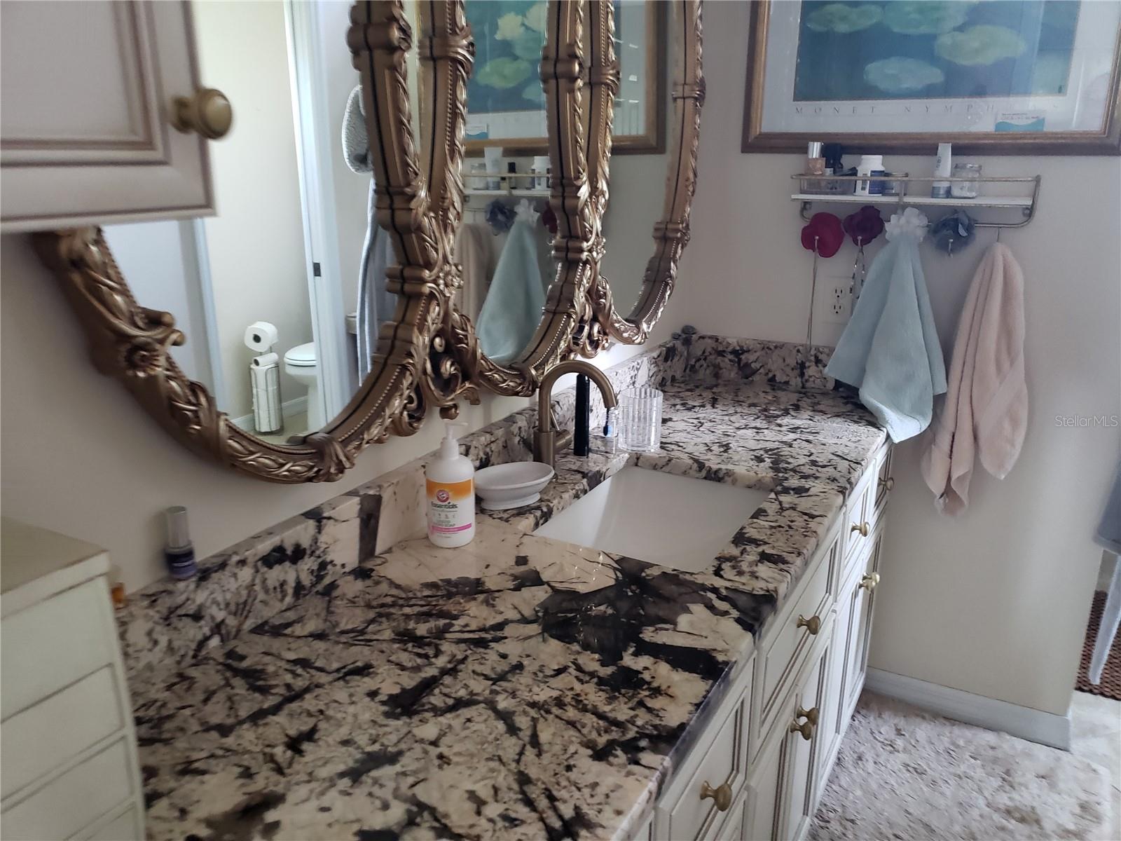 Image 13 of 21 For 26045 Newcombe Circle