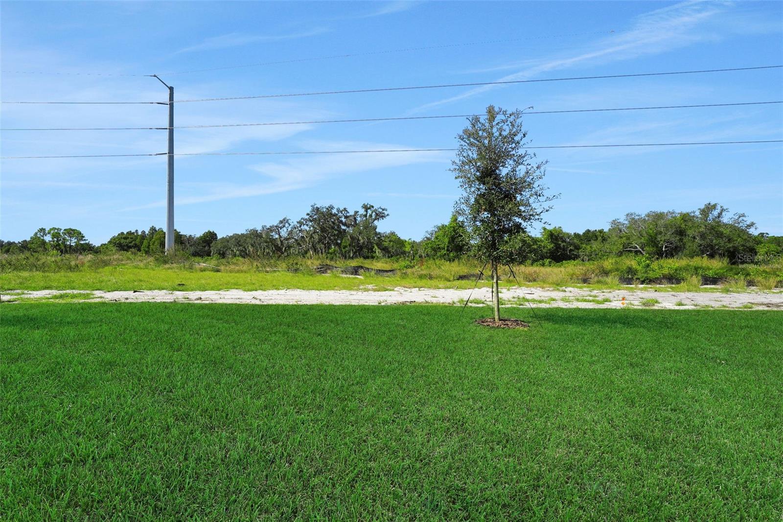 Image 8 of 34 For 248 Meredith Boulevard