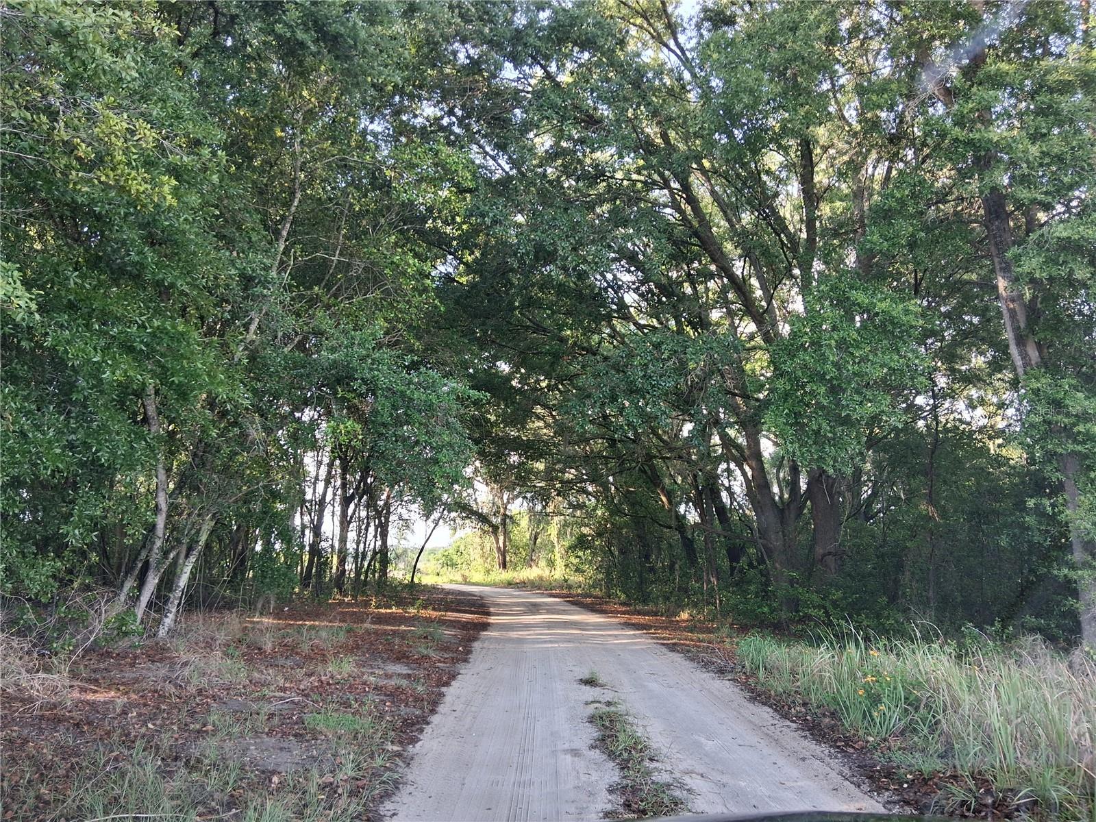 Image 2 of 5 For 16451 Forrest Lane