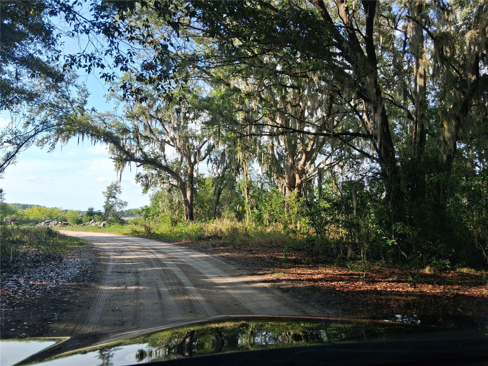 Image 3 of 5 For 16451 Forrest Lane