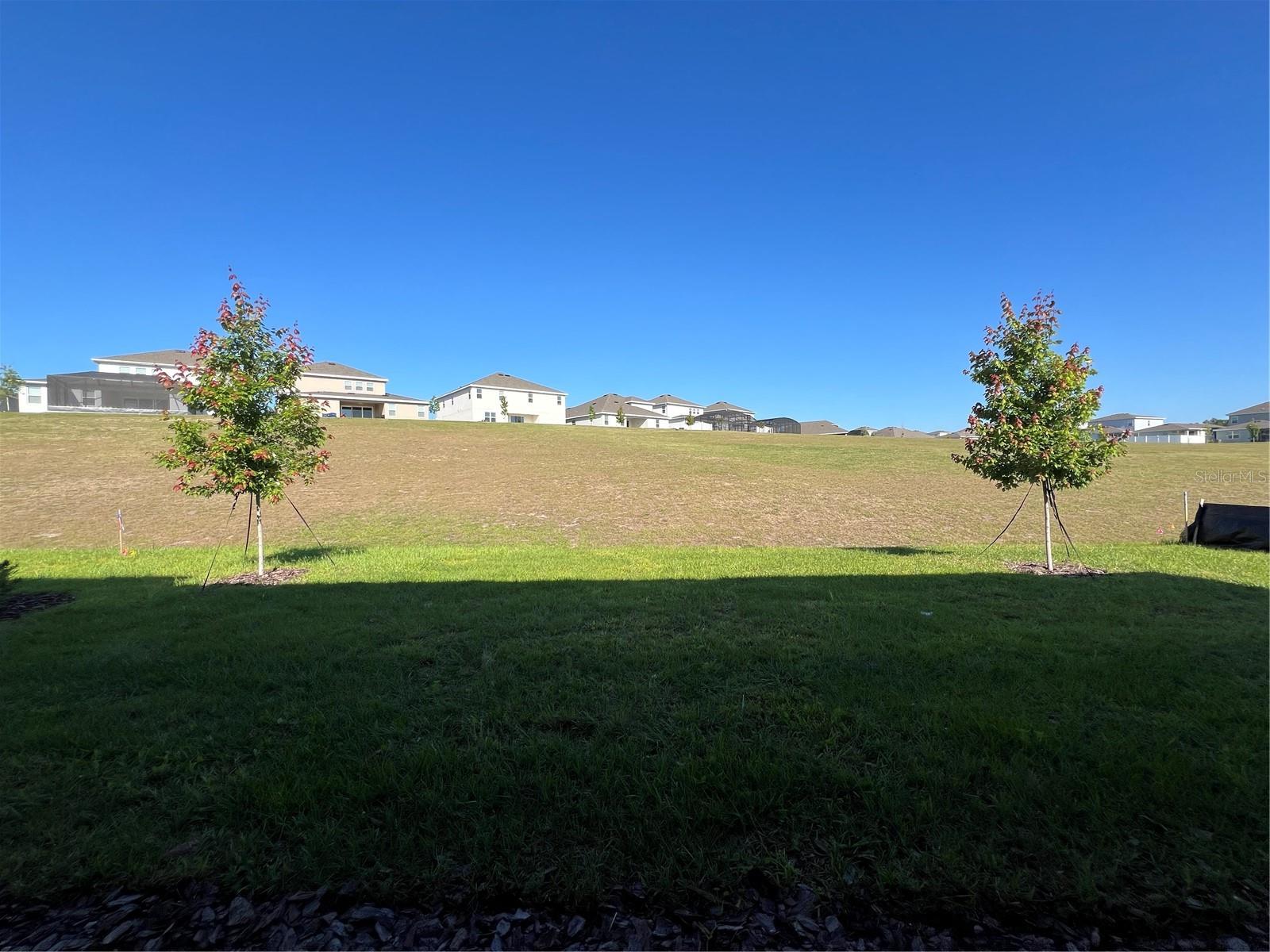 Image 21 of 21 For 2367 Juniper Berry Drive