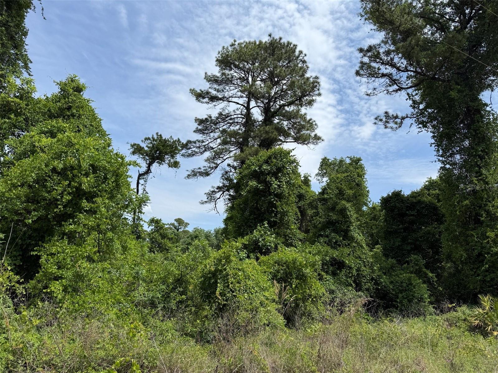 Details for 000 Folklore Dr, SATSUMA, FL 32189