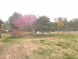 Image 11 of 13 For 32420 County Road 473