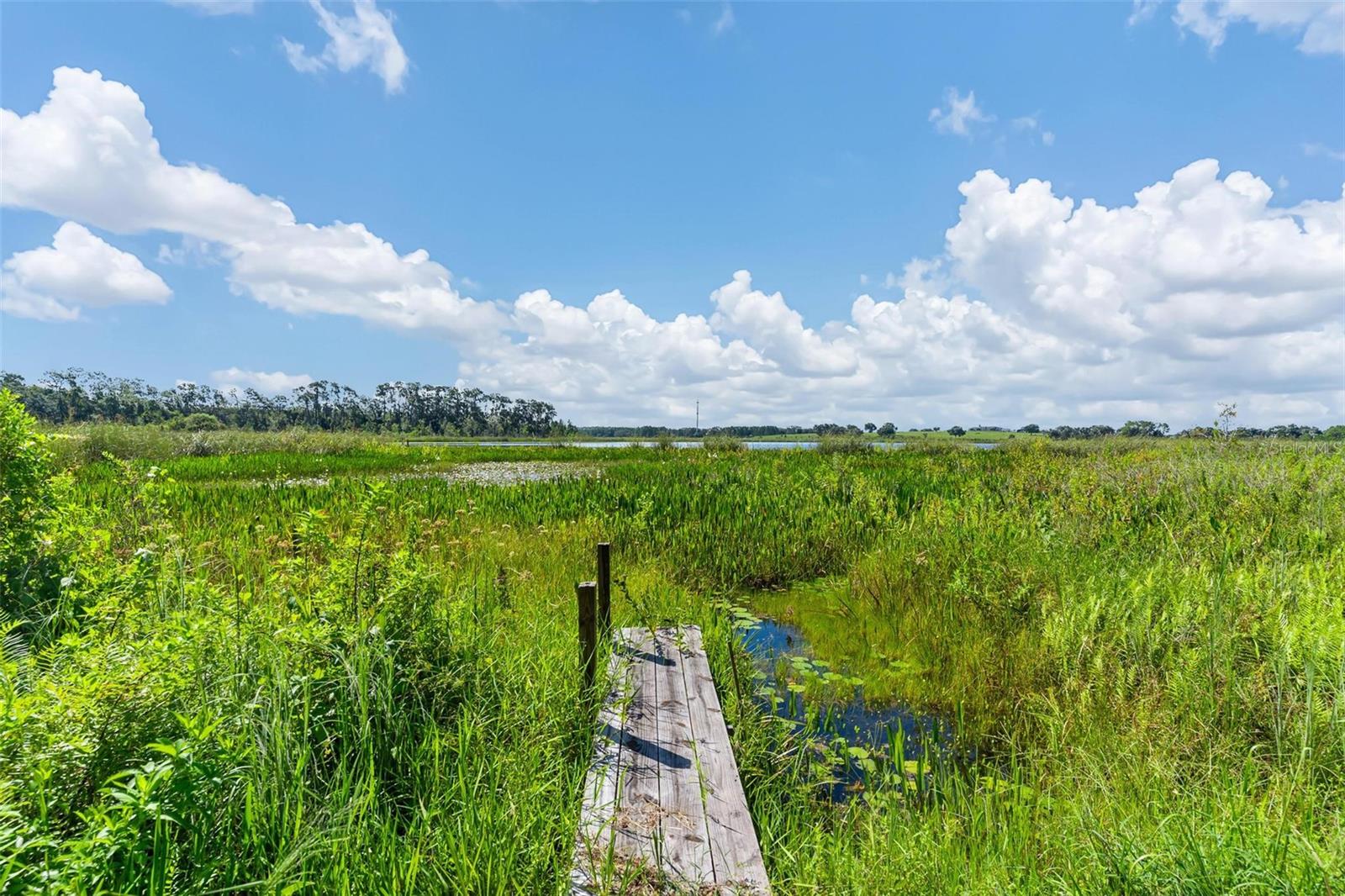 Listing photo id 1 for 26833 Anderson Ranch Road