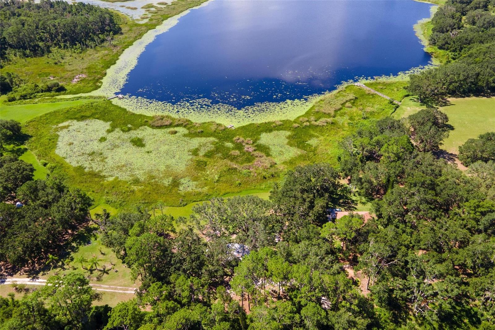 Listing photo id 41 for 26833 Anderson Ranch Road