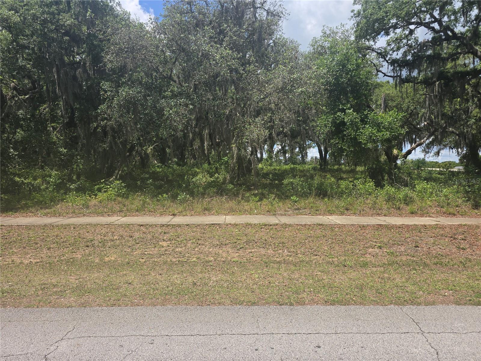 Details for 25313 Madison Street, ASTATULA, FL 34705