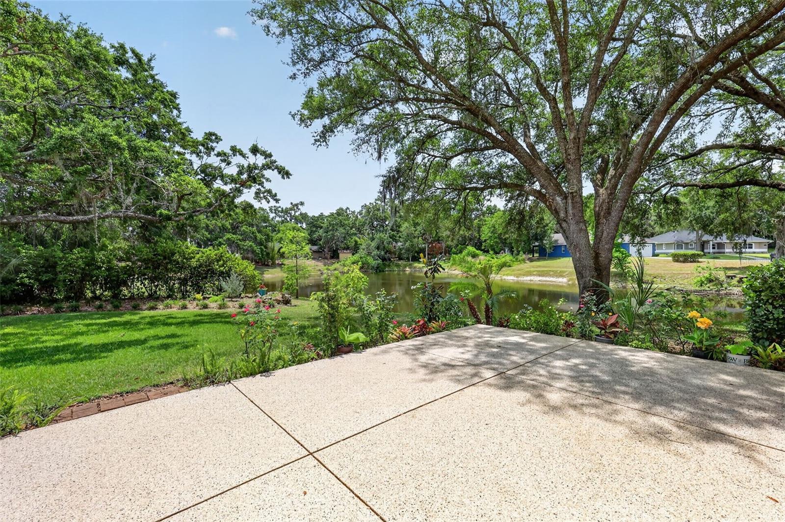 Image 54 of 63 For 33746 Spring Drive
