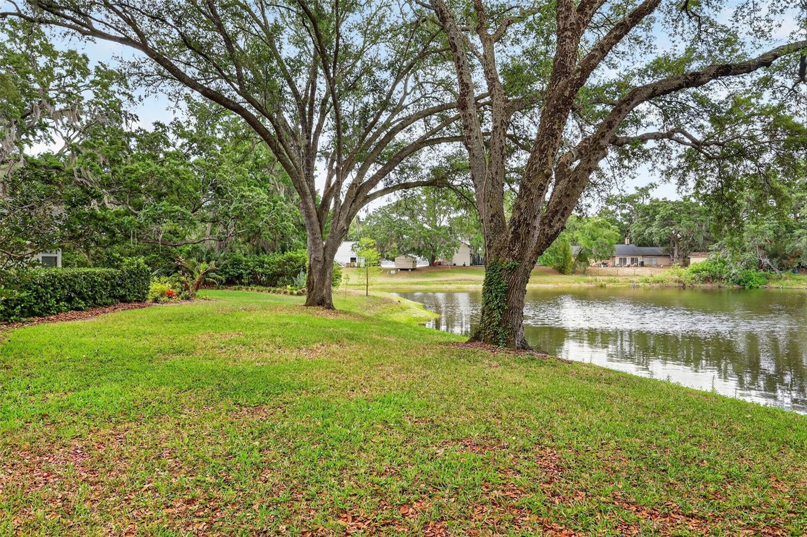 Image 55 of 63 For 33746 Spring Drive