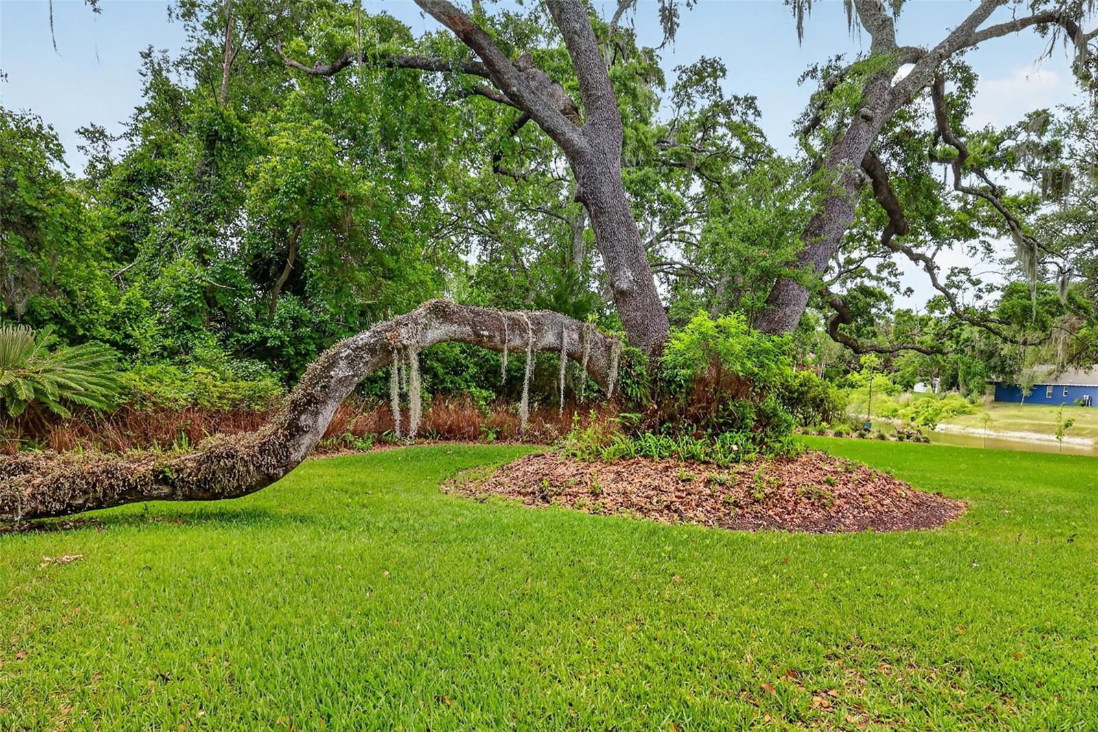 Image 60 of 63 For 33746 Spring Drive
