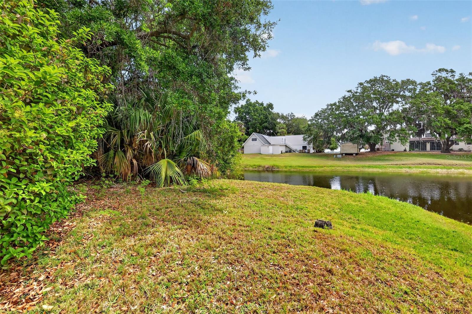 Image 61 of 63 For 33746 Spring Drive