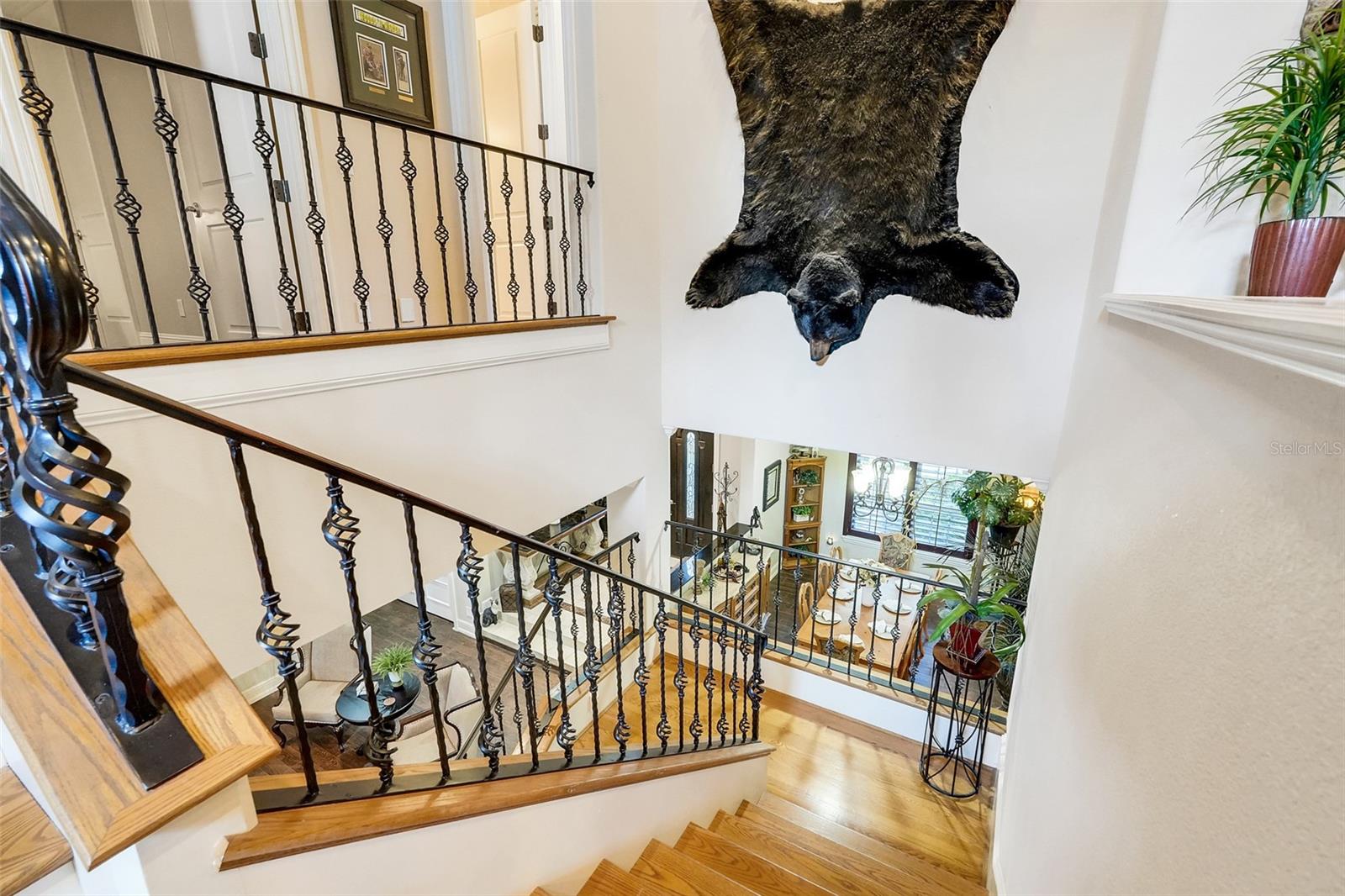 Listing photo id 49 for 11610 Osprey Pointe Boulevard