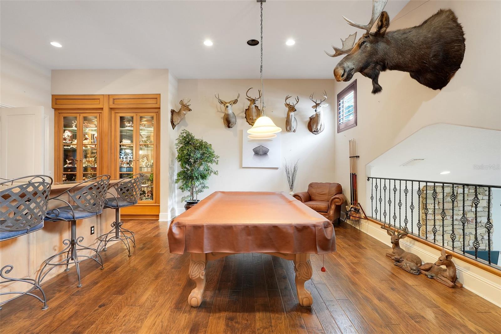 Listing photo id 52 for 11610 Osprey Pointe Boulevard