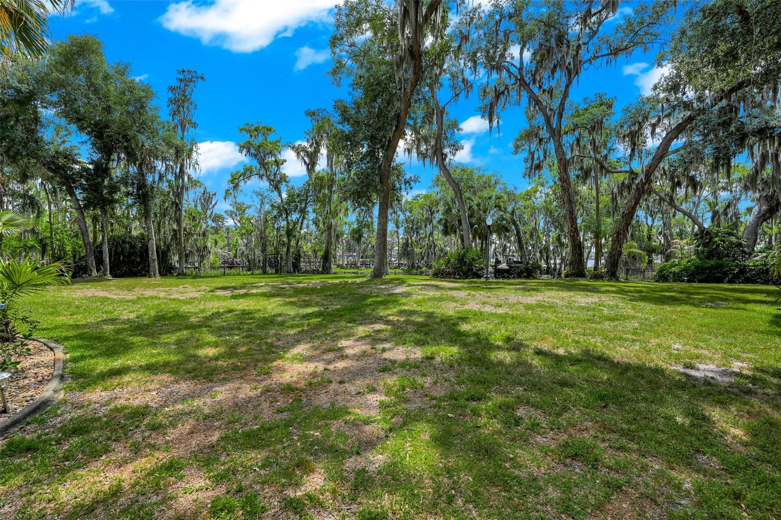 Listing photo id 77 for 11610 Osprey Pointe Boulevard