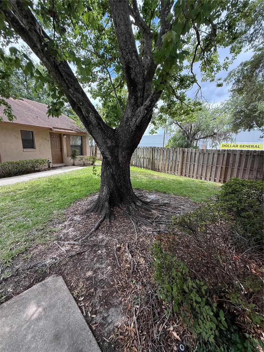 Image 8 of 40 For 407 Douglas Way 66