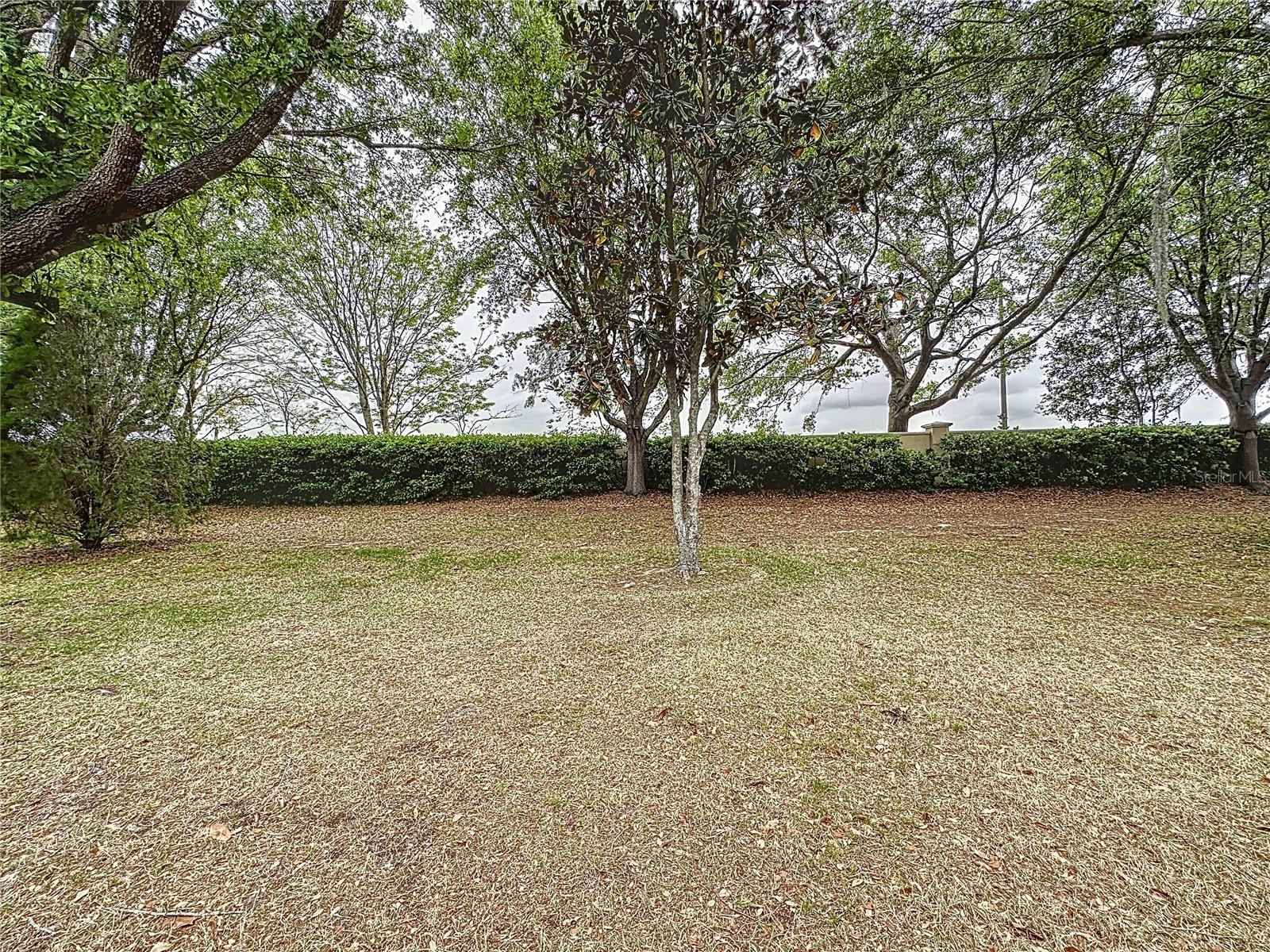 Image 48 of 69 For 135 Crepe Myrtle Dr