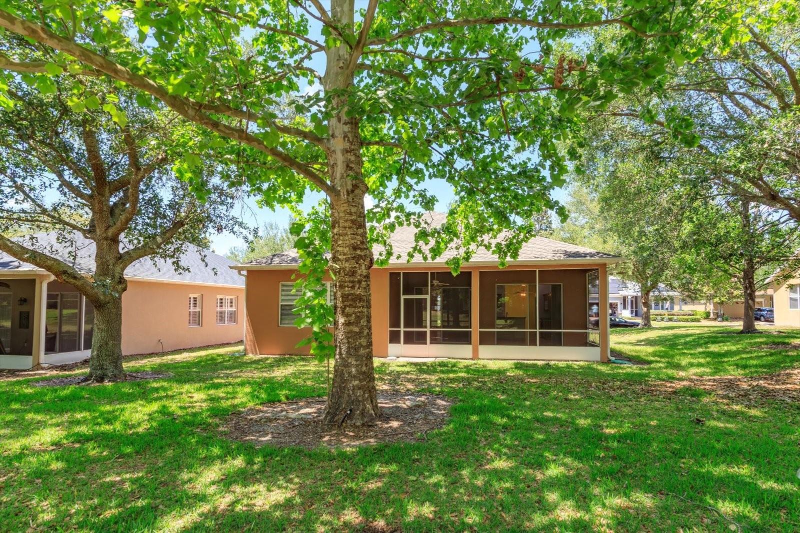 Image 15 of 28 For 120 Crepe Myrtle Drive