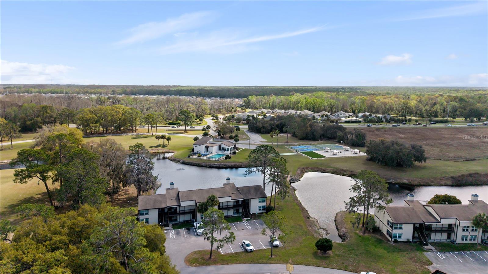 Details for 17203 Sandalwood Drive, WILDWOOD, FL 34785