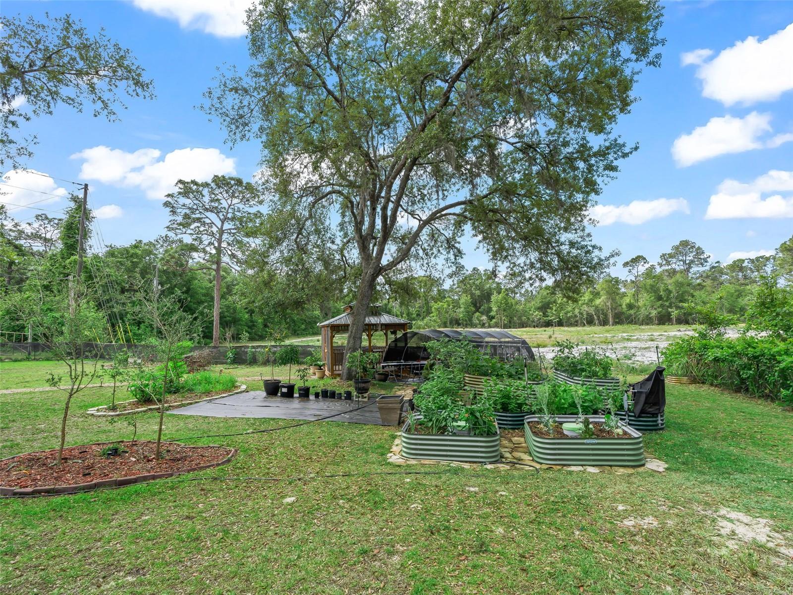 Image 50 of 63 For 7157 Knoxville Dr