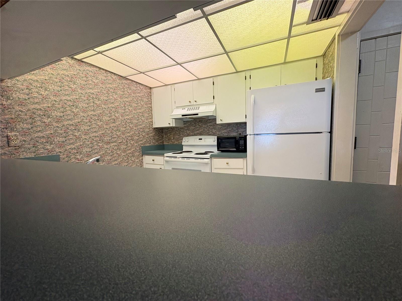 Image 3 of 10 For 167 Palm View Court 3487