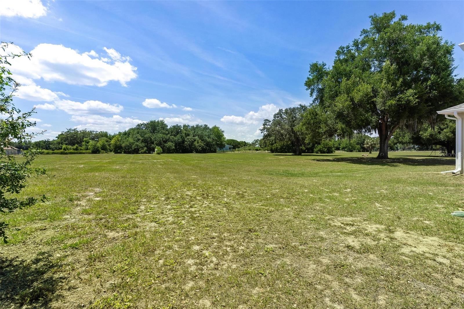 Image 53 of 63 For 17440 County Road 448
