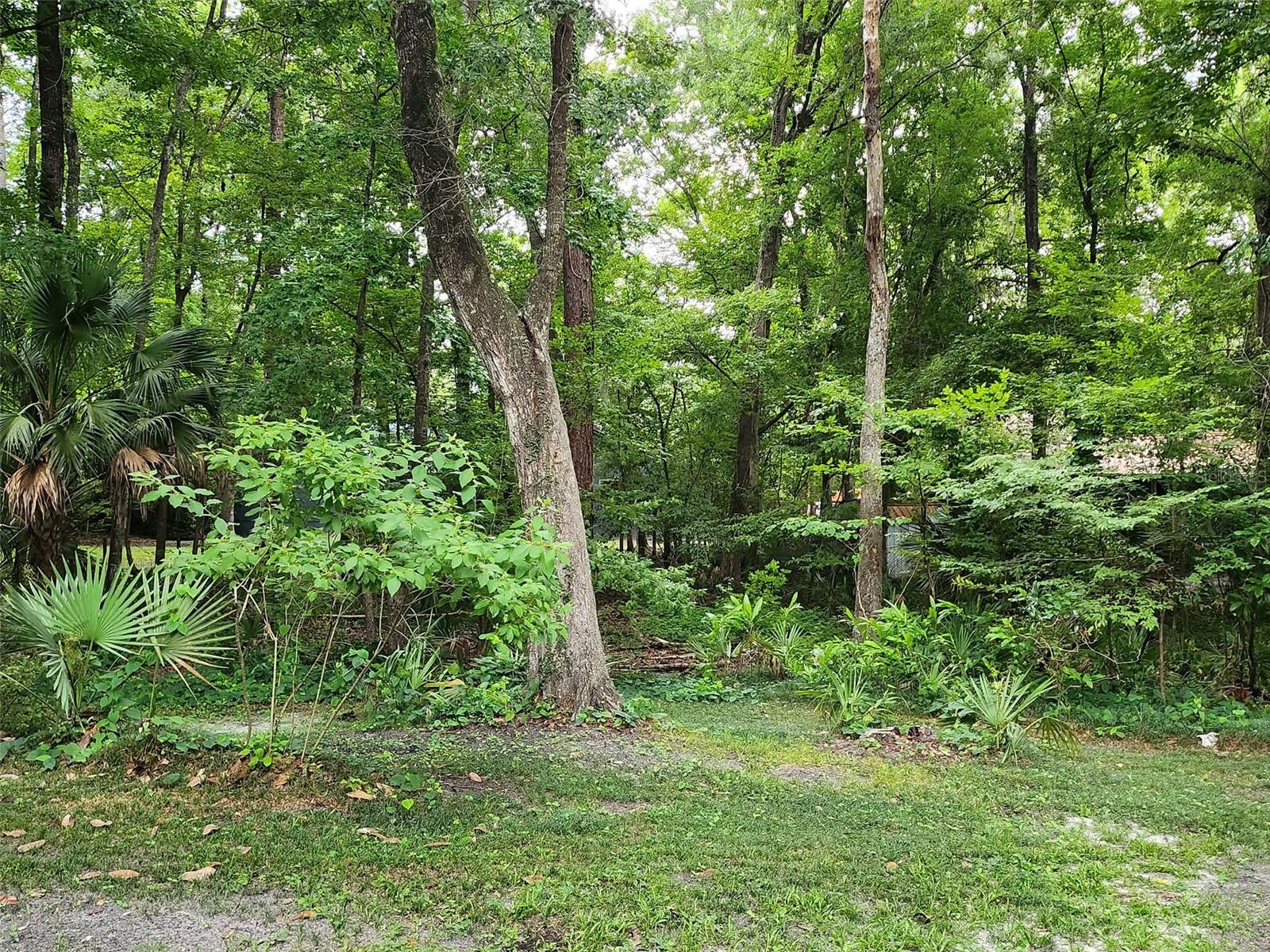 Image 36 of 43 For 5212 56th Court