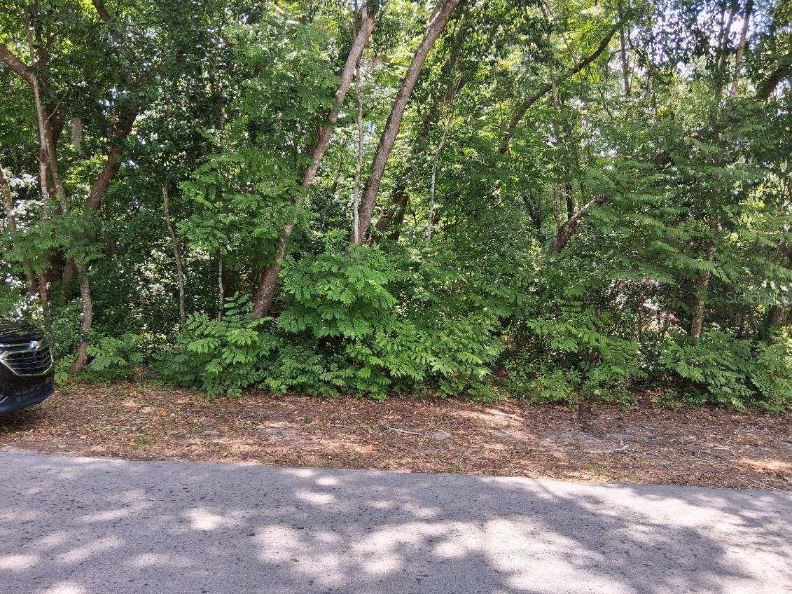 Details for  2nd Street , WEBSTER, FL 33597