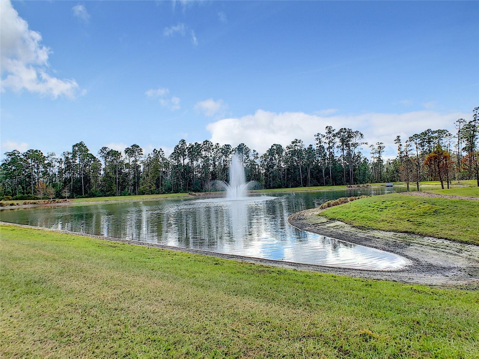 Image 99 of 100 For 8409 Vivaro Isle Way