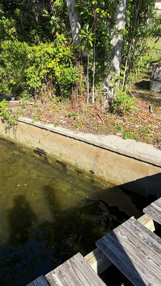 Image 8 of 16 For 6601 Riverside Drive