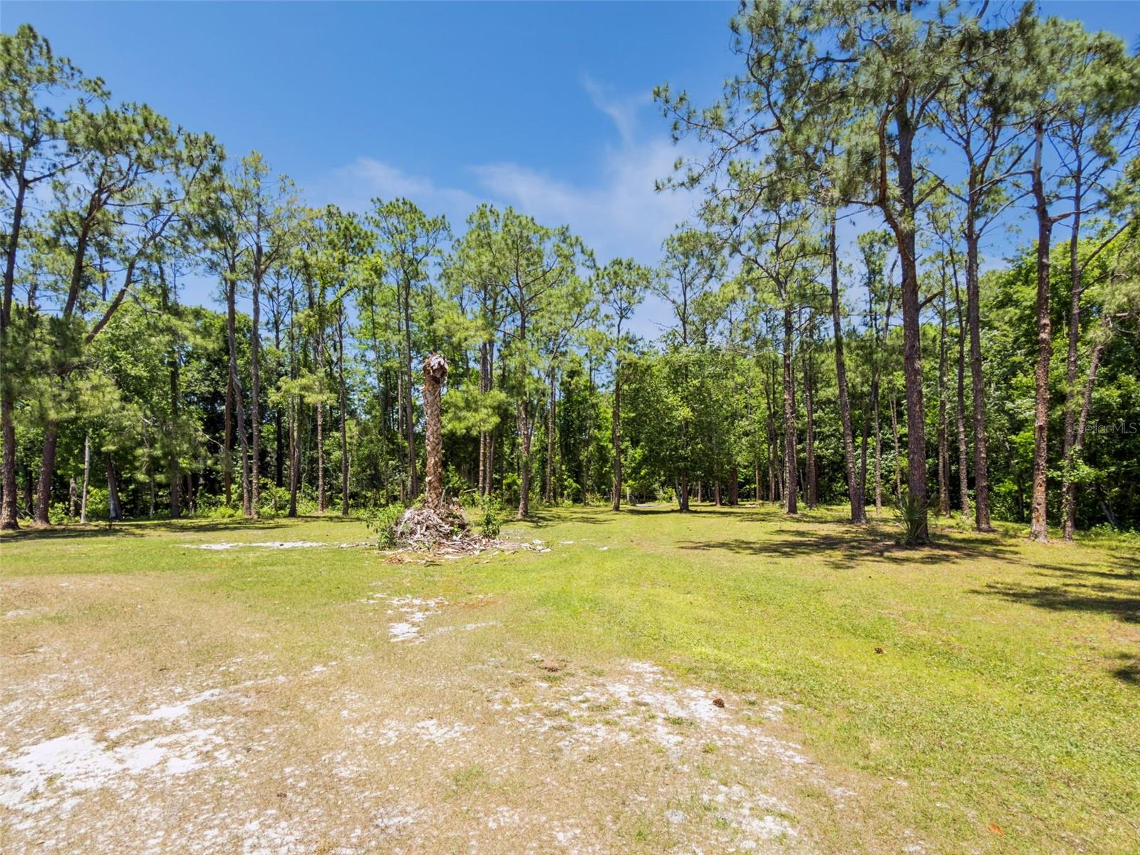 Image 8 of 11 For Blue Jay Way