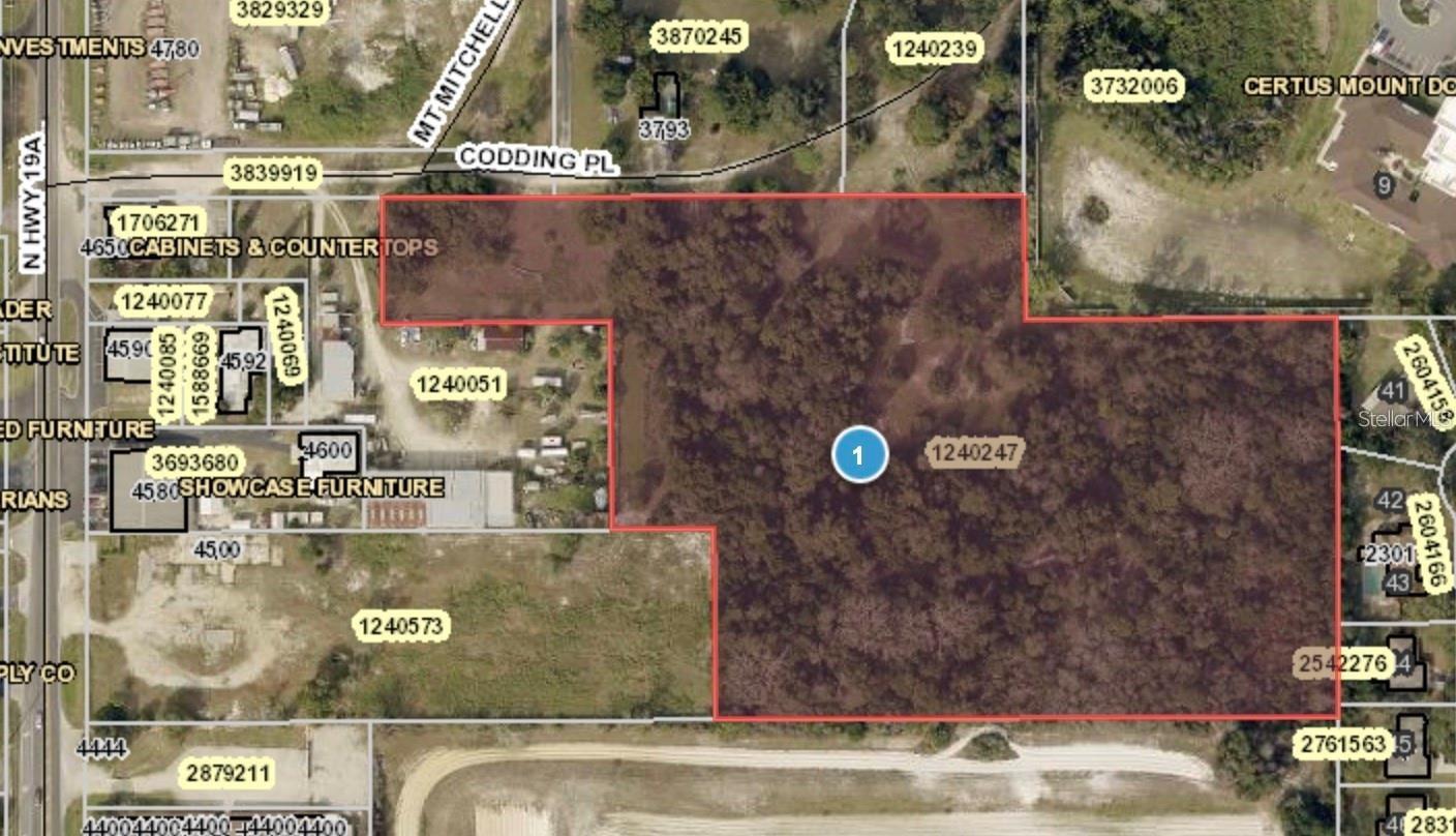 Listing Details for Codding Place, MOUNT DORA, FL 32757