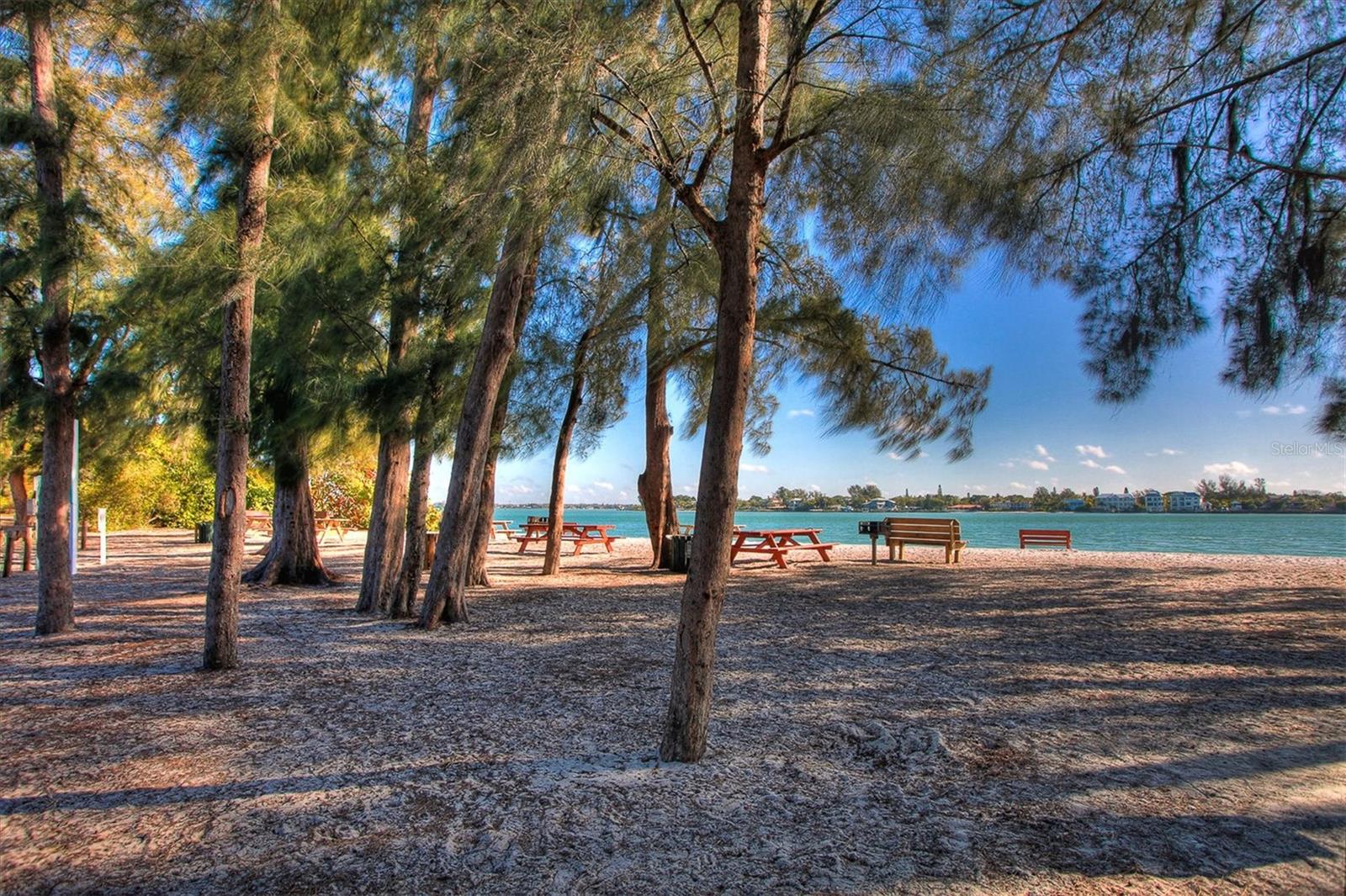 Listing photo id 40 for 500 Washington Drive 14a