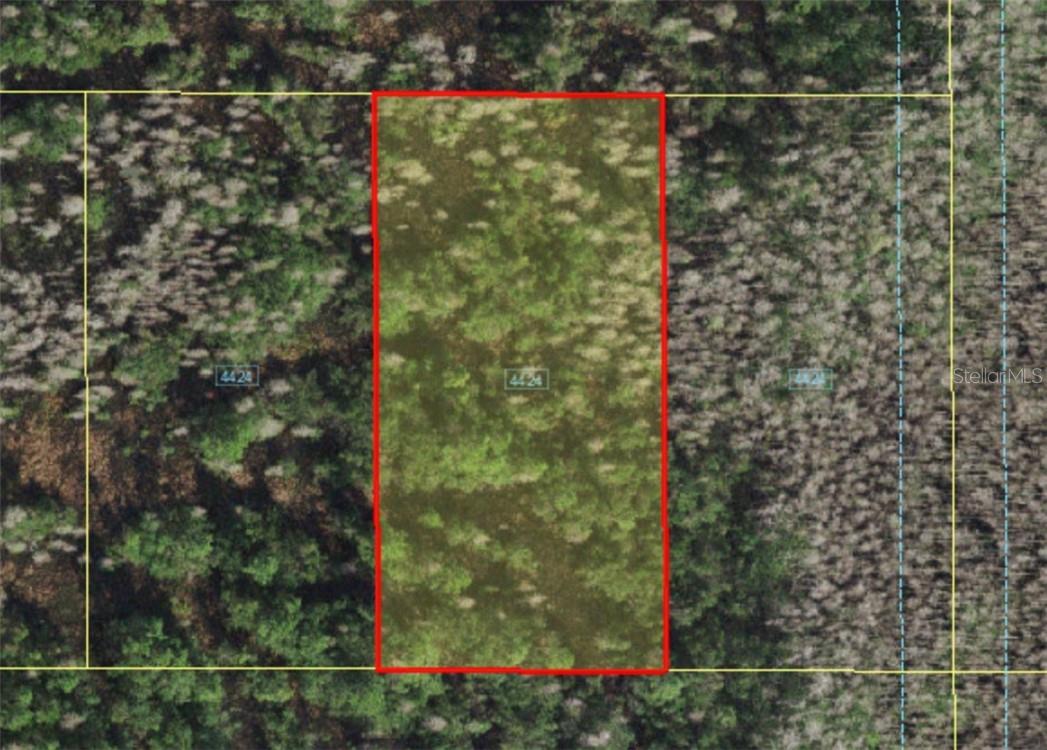 Details for Holopaw Groves Road, SAINT CLOUD, FL 34773