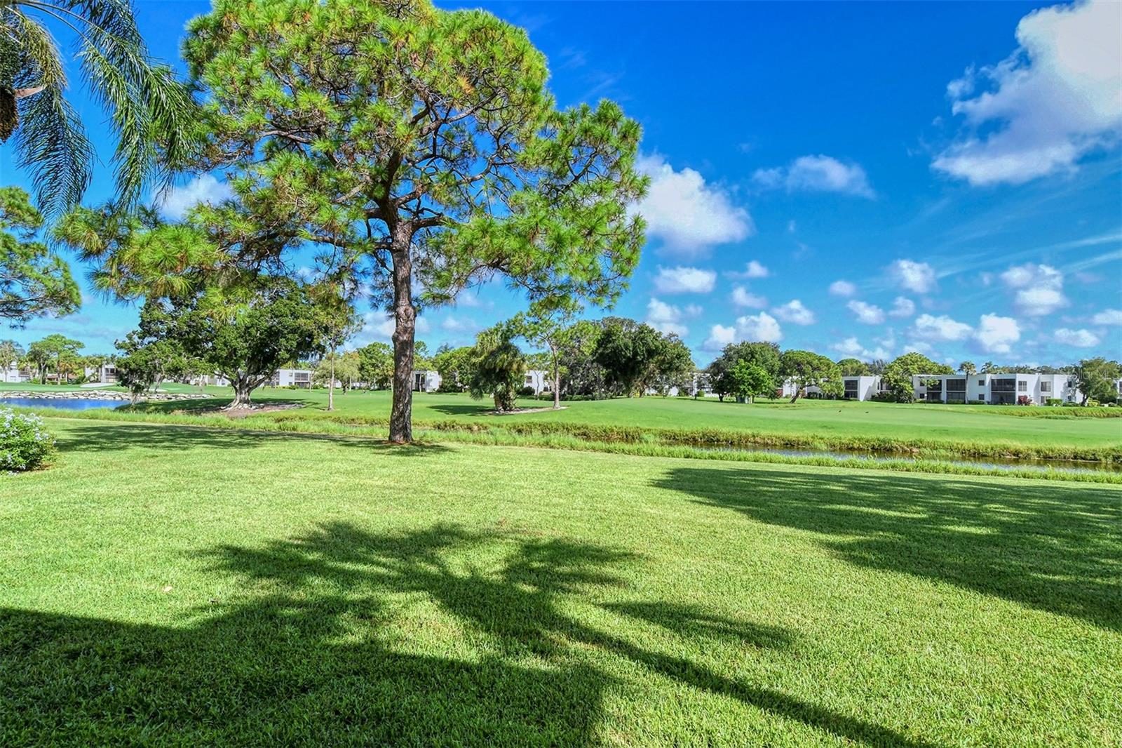 Image 10 of 84 For 5133 Willow Links  11