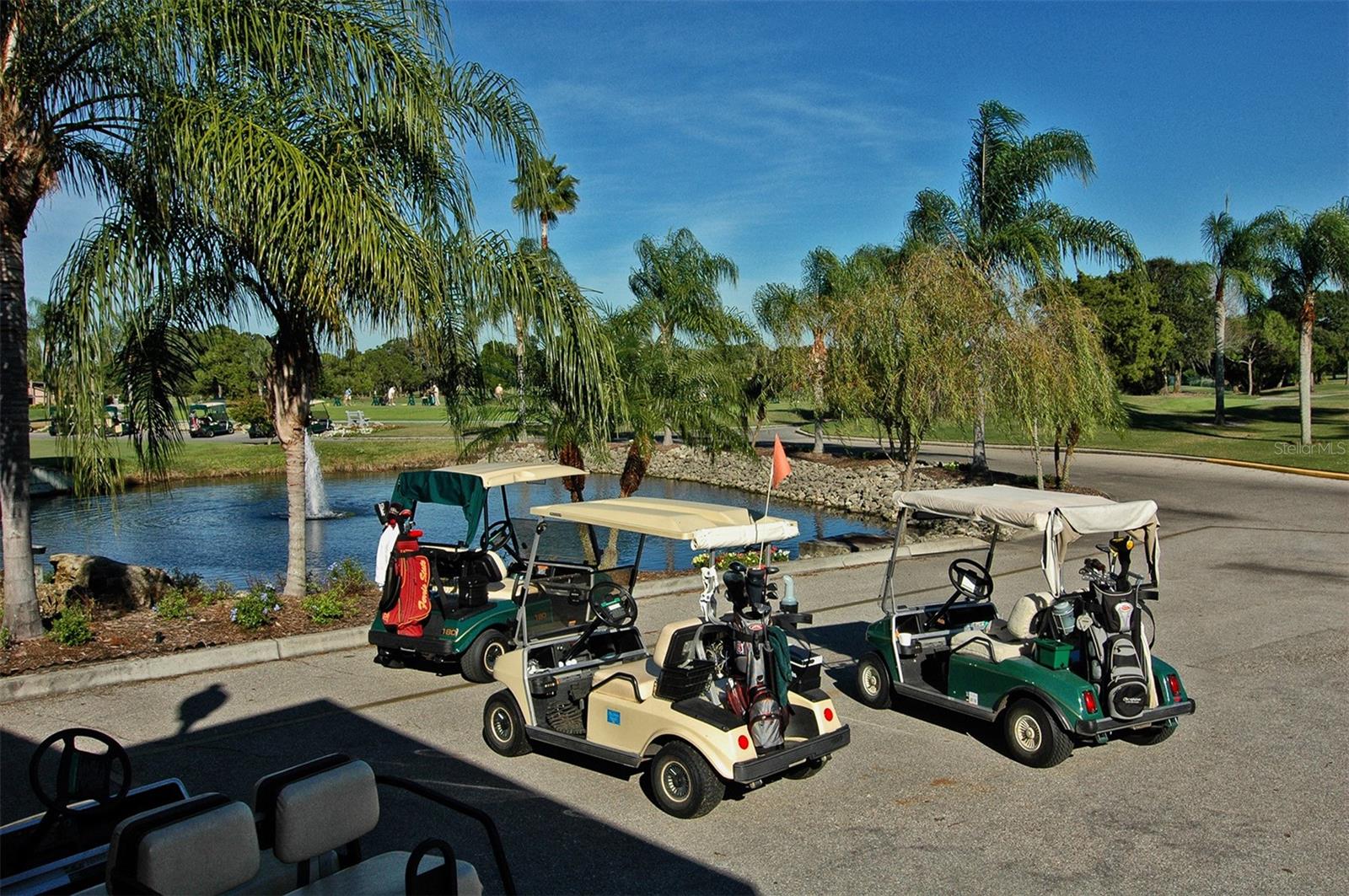 Image 57 of 84 For 5133 Willow Links  11