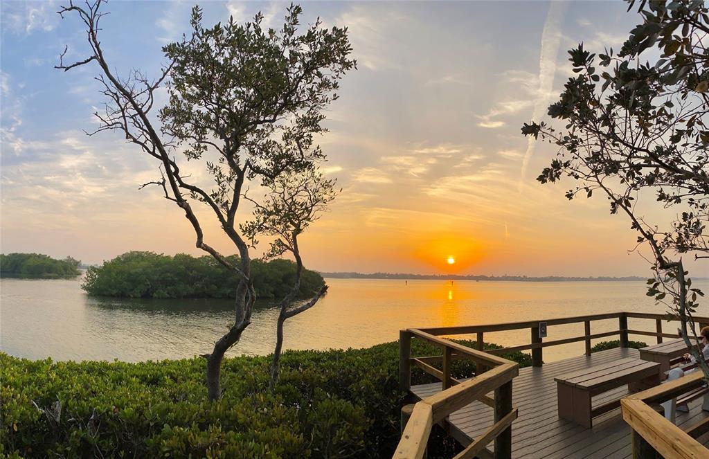 Image 25 of 26 For 1703 Pelican Cove Road Gl457