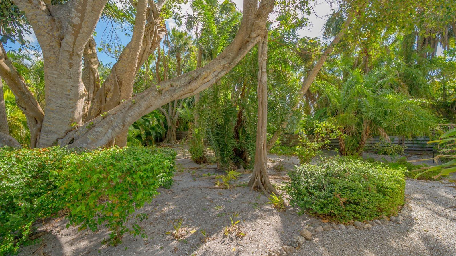 Image 55 of 97 For 3708 Sandspur Lane