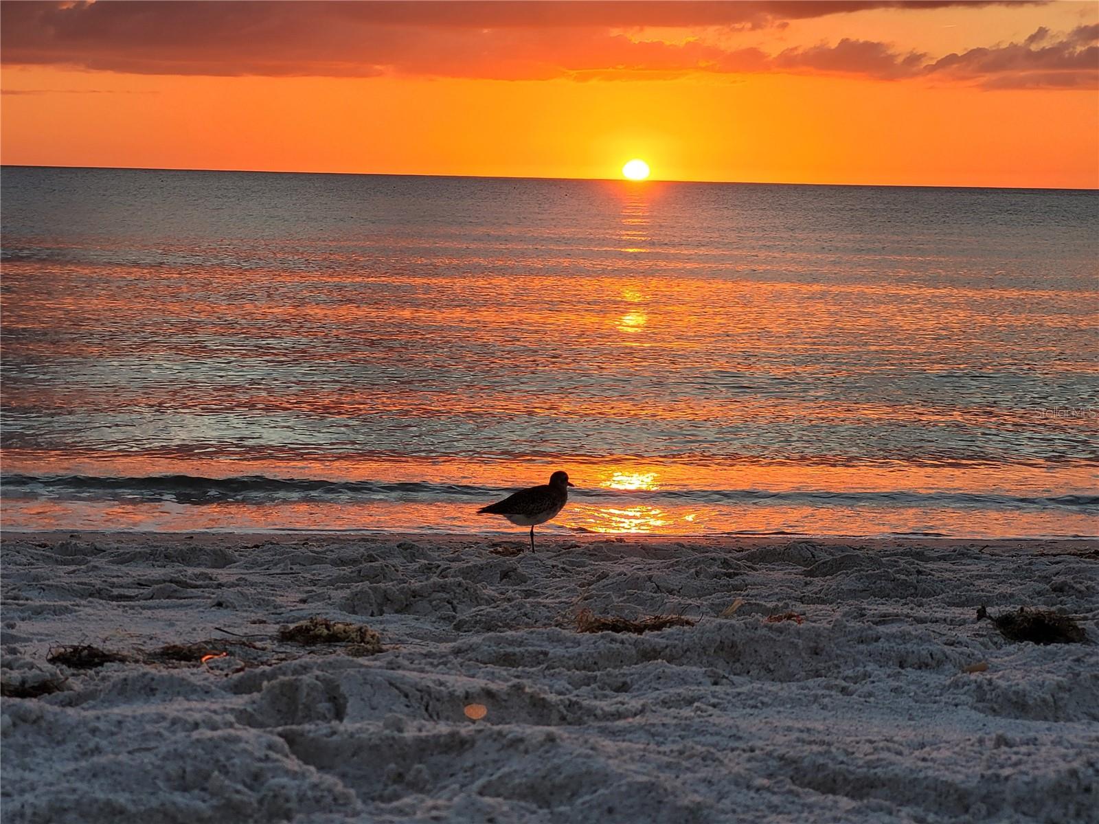 Image 25 of 31 For 4325 Gulf Of Mexico Drive 406