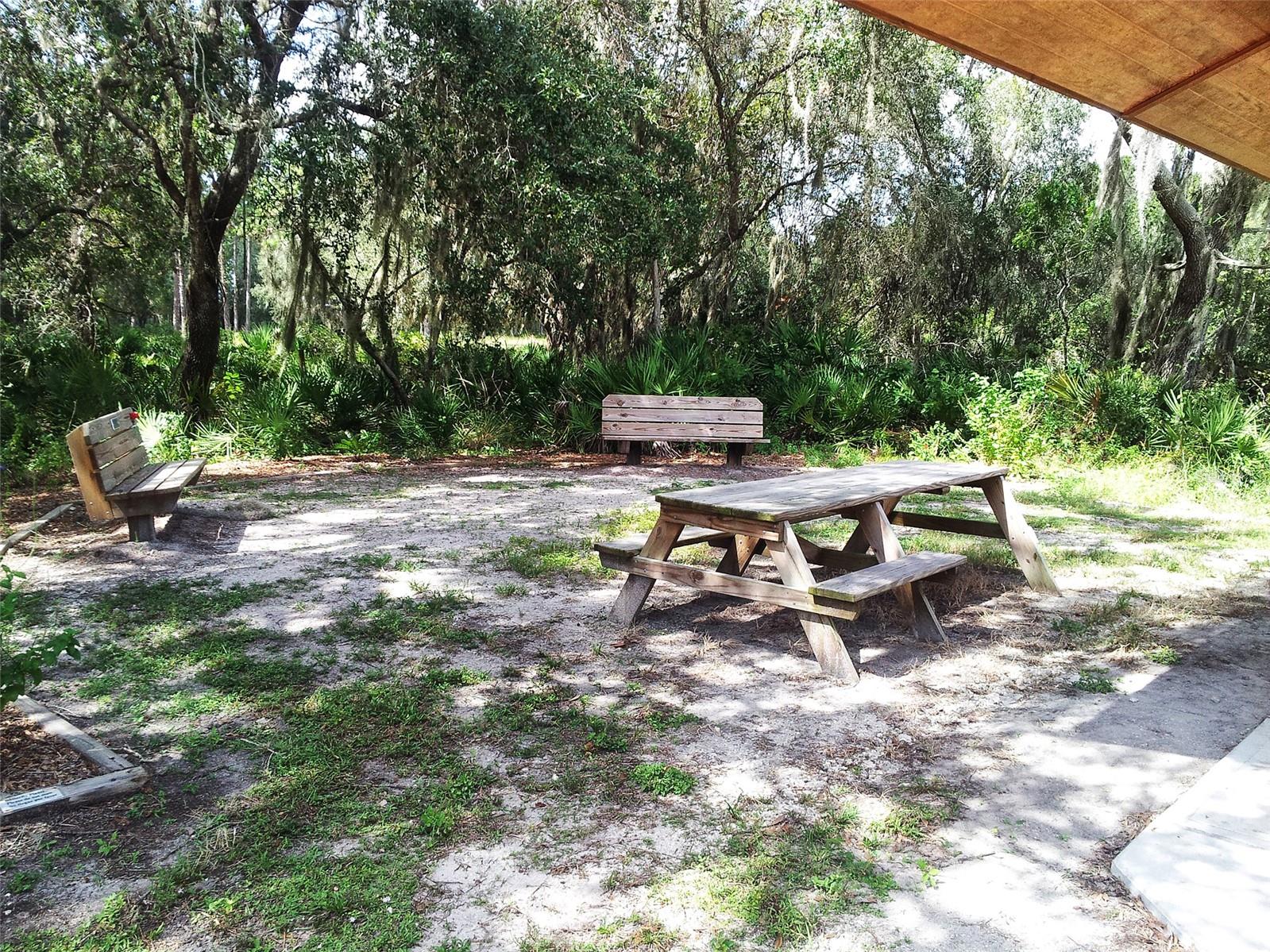 Image 68 of 92 For 8375 Glenrose Way 211