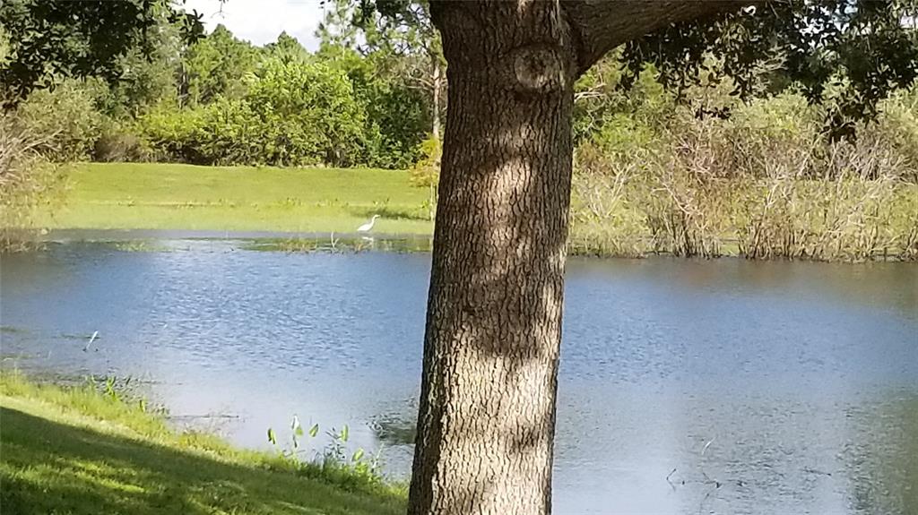 Listing photo id 32 for 1127227518 Spiral Lane